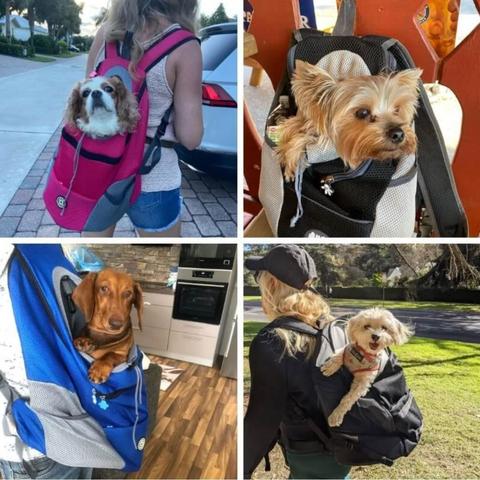 Teamoy Mochila de viaje para perros, suministros para mascotas, mochila de  fin de semana, organizador de mano aprobado por aerolíneas para perros y